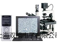pơϺSM(jn)ùB(yng)MJ-250-II(sh)