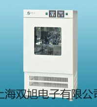 pơزCH1015B(yng)