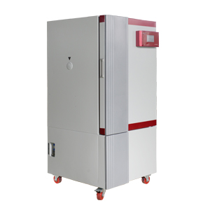 BMJ-160C程控霉菌培養(yǎng)箱BMJ-160C上海博迅廠家