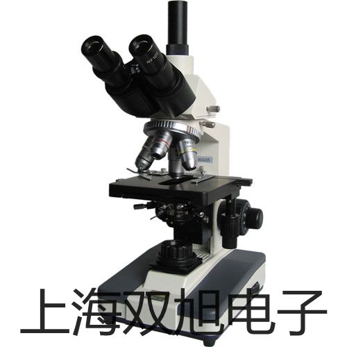 pơTL-Q5MD2ӽ_P(gun)TL-Q5MD2r 