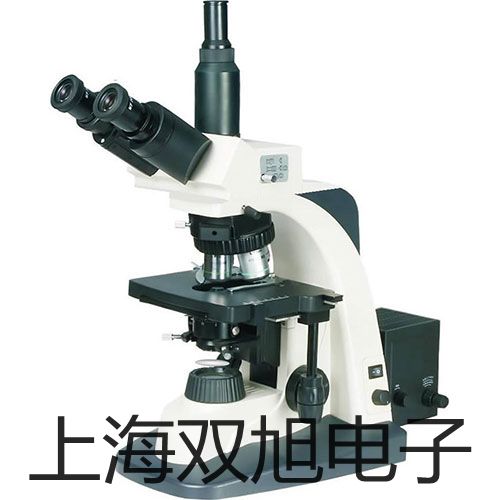 pơIMPULSE200LTIy/y߃xIMPULSE200N