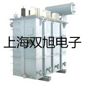 【雙旭牌】專業(yè)型pH計/電導(dǎo)計/離子計PP-20-P11參數(shù)