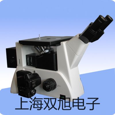 pơWSS-486pٜضӋ