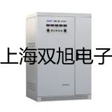 pơزCH1006N