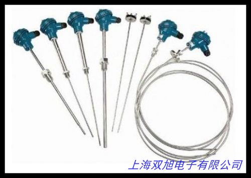 鎧裝鉑熱電阻WZPD-200銅電阻