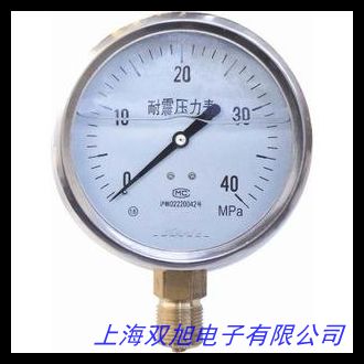 專業(yè)生產(chǎn)液壓系統(tǒng)配件 Y100徑向0~60MPa耐震壓力表