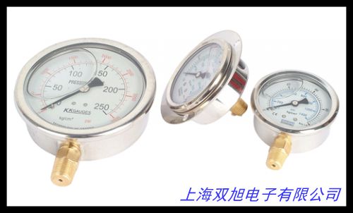 專業(yè)生產(chǎn)液壓系統(tǒng)配件 Y100徑向0~60MPa耐震壓力表