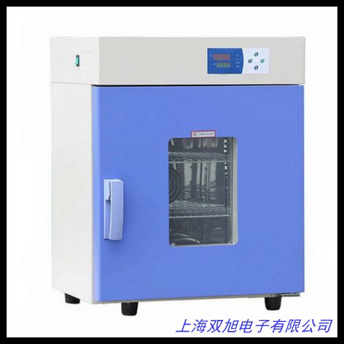 小型按鍵式簡(jiǎn)易型恒溫箱 楊氏高溫恒溫試驗(yàn)箱 電熱鼓風(fēng)干燥箱
